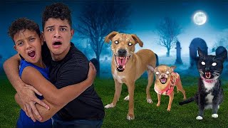 OUR DOGS ARE POSSESSED: Full Movie