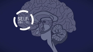 Science Says: Why Are Opioids so Addictive?