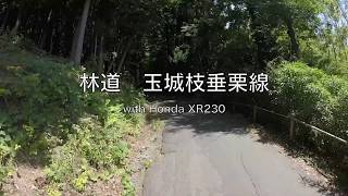 【林道探訪】林道 玉城枝垂栗線 with Honda XR230 GoPro HD