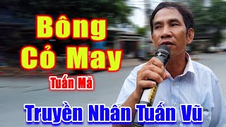 Bông Cỏ May - Nổi Da Gà Khi Nghe Giọng Ca Đường Phố Giống Tuấn Vũ 99% - Tuấn Mã
