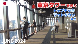 【東京】東京タワーを歩く2024 高さ333mで東京のランドマーク! Tokyo Tower, Tokyo, Japan