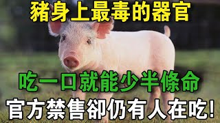 豬身上「最毒」的器官！ 吃1口讓你少半命！ 官方早已禁銷，仍有許多人買來吃！ | 養生常談