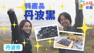 【兵庫★スター食材図鑑】幕府や天皇にも献上 特産「丹波黒」を収穫！