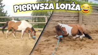 NAUKA LONŻOWANIA WILBURA