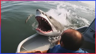 Damn Nature You Scary | Funny Scary Animal Encounters 😱 #16