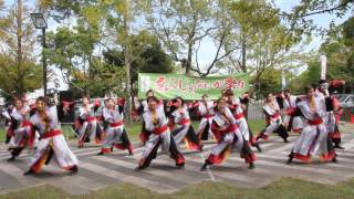 よさこい百鬼夜行　酒天童子　20161016　ゑえじゃないか祭り　園屋会場