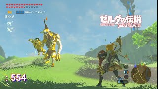 ハテノ塔近くの金色と戦ってました【ゼルダの伝説 マスターモード:554】【ブレスオブザワイルド】