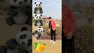 Rounding panda 🐼 to lichi, Apple, Banana \u0026 Mango - Fruits names magic video