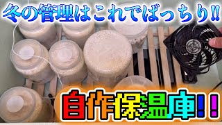 【オオクワガタ】自作保温庫で冬の菌糸ビン管理!! ついに稼働させました!!