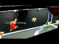 water change tutorial goldfish care