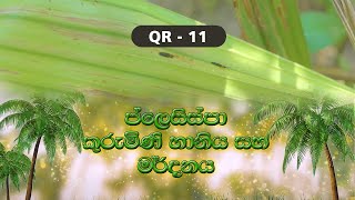 QR 11 - ප්ලෙසිස්පා කුරුමිණි හානිය සහ මර්දනය