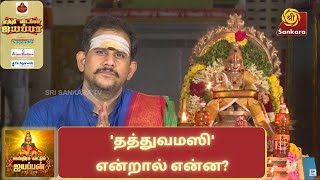 'தத்துவமஸி' என்றால் என்ன? | Saastiram Kaattum Ayyappan | Etri Vidapppa Ayyappa 🪔 | சே. இராமநாதன்