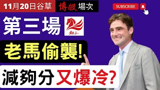 賽馬貼士: 跑馬地賽事(2024年11月20日)第三場|老馬偷襲!減夠分又爆冷?