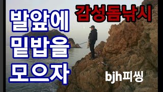 감성돔낚시 발앞 수중여에 밑밥을 모으자