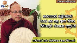 නරකෙසක් හමුවන්නට පෙර සහ පසු අපේ ජිවිත මඛාදේව ජාතකය ඇසුරින්