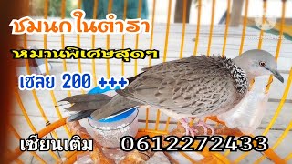 นกในตำรา หมานสุดยอด เชลย200+++ เซียนเติม 0612272433