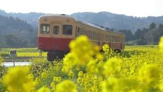 【2016】春（３）小湊鉄道 \