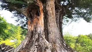 【田舎の風景 ～その27～ Country Scenery】:  室生の風景　その良さが少しでも Nara,Japan