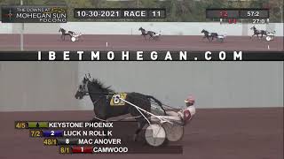 Harness Racing Accident 2021