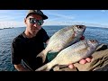 BLACK BREAM | CATCH & COOK | THAI YELLOW CURRY