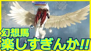 【黒い砂漠】幻想馬''アドゥアナート''で遊び倒す。参考動画にいかがですか？ #63