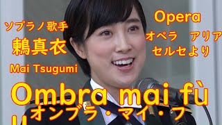 鶫真衣　オンブラ・マイ・フ  Ombra mai fù  歌詞字幕付き  ヘンデル作曲  　オペラ　セルセより　第1幕冒頭のアリア。プラタナスの木蔭への　愛を歌ったもの