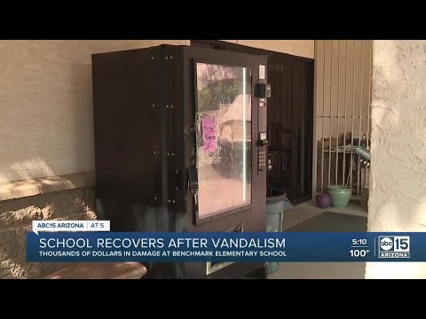 What is school vandalism?