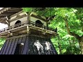 【beautiful japanese blue maple 】 eigenji temple 青もみじ 永源寺