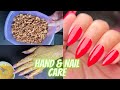 Most Requested Hand Care Routine | Salon like Manicure at home for beginners 💅💫🌼|