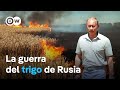 Cómo Putin utiliza el hambre como arma de guerra | DW Documental