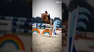 Hella Gabbert is back❤️‍🔥 #horse #equestrian #edit #viral #hellagabbert #trend #horseriding #love