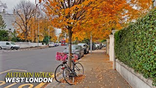 Quiet autumn stroll through West London's neighbourhood 🍁 Westbourne, Notting Hill and Holland Park