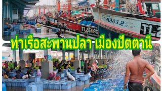 ท่าเรือประมงสะพานปลา เมืองปัตตานี คึกคักหรือไม่ ไปดู???