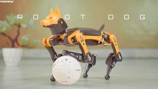 DIY Bionic Robot Dog | Petoi Bittle | Open Cat