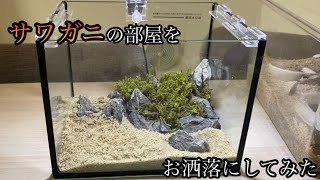 【サワガニ】の部屋をお洒落にしてみた