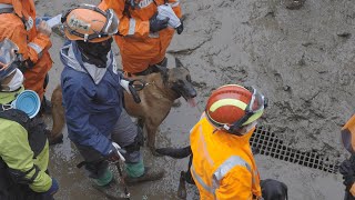 雨の中で捜索が続く熱海・伊豆山地区