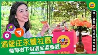 【可樂旅遊 | 樂玩台中農村】 酒堡庄永豐社區 葡萄樹下浪漫品酒饗宴