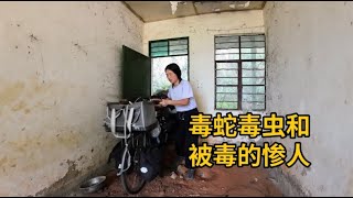 骑行热带雨林遇毒蛇，被蚊虫咬全身奇痒无比，晚上露营遍布动物尸体的废弃房。#骑行  #热带雨林  #露营  #菜腿