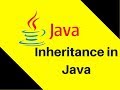 8.3 What is Inheritance in Java | Lecture | Tutorial