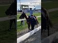 Honeysuckle wins the Mares Hurdle at the Cheltenham Festival 2023