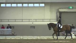 福岡県大会　セントジョージ馬場馬術　2012.11.25