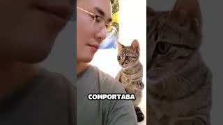 Así pide amor este Gato