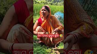 ସବୁ ଘରେ ଗୋଟେ କୁକୁର ଥାନ୍ତି ଆମ ଘରେ ମୁଁ 🤣 || @nuapurtokavlogs #shorts #shortvideo #comedy #shortcomedy