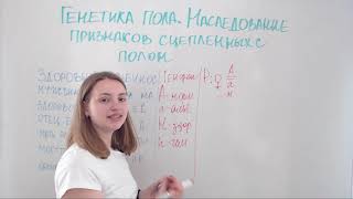 Генетика пола. Наследование признаков сцепленных с полом