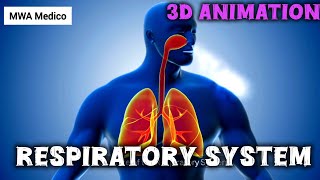 Respiratory System 3D Animation || Respiratory System Animation || Respiration 3D Animation ||