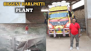 Biggest Hari Patti Plant In Nagaur Rajasthan