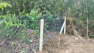 Fence work | ആടുകൾക്ക് വേണ്ടി ഞങ്ങൾ ഉണ്ടാക്കിയ ഫെൻസ്