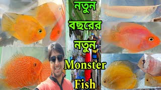 শ্রীরামপুরে নতুন বছরে রঙিন মাছ Serampore Pet Market Fish Aquarium Fish Serampore Pet Market