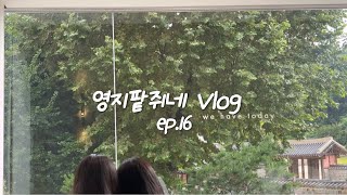 Ep.16 뜨개질에 빠져 밀키트로 때우는 신혼밥상🧶 와촌돼지찌개 밀키트 타향골 따귀탕 행궁동 카페 위해브투데이 시라유키 이자카야 고기랑 소주랑 가격이 똑같은 가성비 고기집