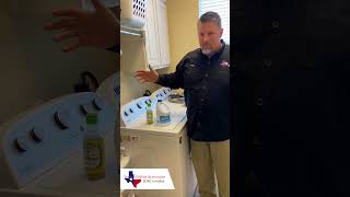 Using Bleach or Vinegar for Mold Removal